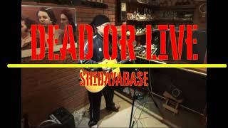 DEAD OR LIVE    　 by  　SHIDAYABASE