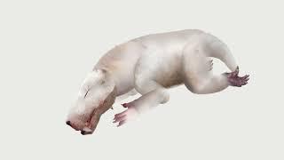 The worst reconstruction of Gorgonops :)