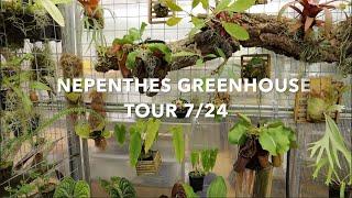 Nepenthes Greenhouse Tour 2024!