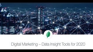 Digital Marketing Intelligence Audit & 2020 ROI Reports by MINT Social