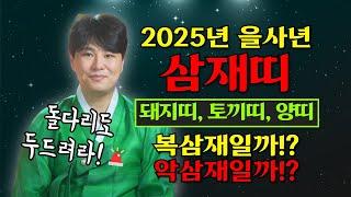 2025년 을사년 삼재띠 [돼지띠, 토끼띠, 양띠] 복삼재일까!? 악삼재일까!? /의정부용한점집 [더샤머니즘]