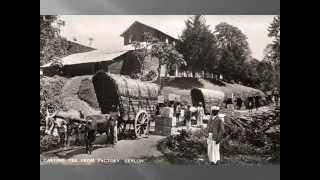 Very Old Sri Lanka Photo Album