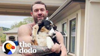 Terrified Aussie Puppy Melts Into Her New Dad's Arms | The Dodo