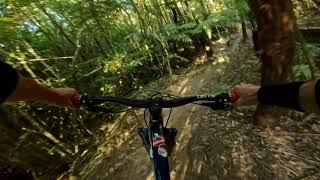 Cheeky Weka @ Kaiteriteri MTB Park