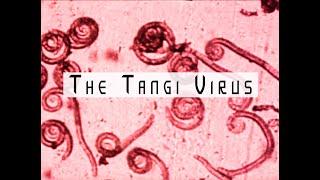 Analog Horror - The Tangi Virus