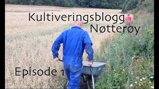 Kultiveringsblogg - Episode 1. Nøtterøy kommune.