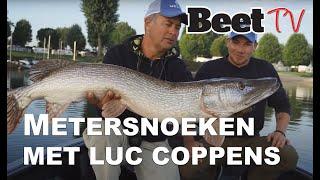 Metersnoeken vangen met Luc Coppens  |  Beet