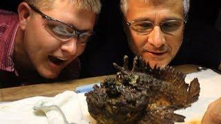 Milking the WORLD'S MOST VENOMOUS FISH! - Smarter Every Day 117