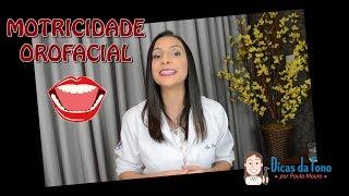 A atuação do Fonoaudiólogo em MOTRICIDADE OROFACIAL!