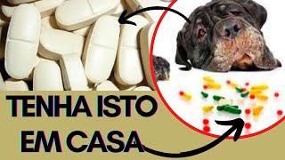 [UTILIDADE] 5 MEDICAMENTOS PARA TER NA SUA CASA EM CASO DE DOENÇA DO  CACHORRO - REMÉDIO PARA CÃES