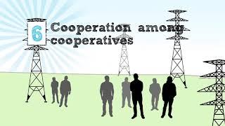 NRECA Cooperative Business Model: 7 Cooperative Principles