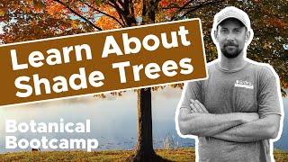 Learn About Shade Trees | Bates Botanical Bootcamp