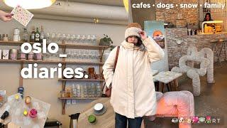 life in oslo  cafes, family, sunny days & holidays 