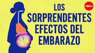 Los sorprendentes efectos del embarazo