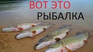 Вот это рыбалка !!! Ты не поверишь - 2017 !!!