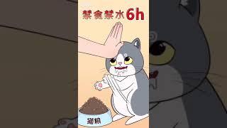 王多喵:  猫咪绝育的注意事项，铲屎官要记得收藏。手术虽小，就怕你啥也不懂！