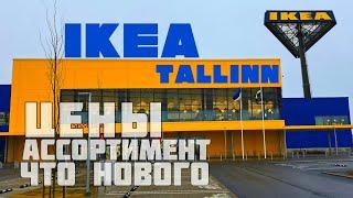 Обзор ассортимента в Таллиннской предрождественской IKEA #tallinn #таллинн #нарва #narva