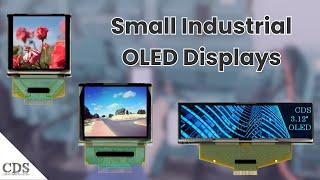 Small Industrial OLED Displays From CDS