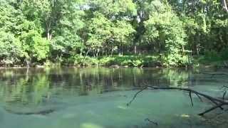 Bachelors Grove  Pond Swim - Depth Check.