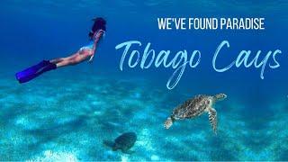 We SAILED to Tobago Cays 🪸 Saint Vincent and the Grenadines