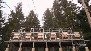 Icy Strait Point ZipRider: Worlds Largest Zipline