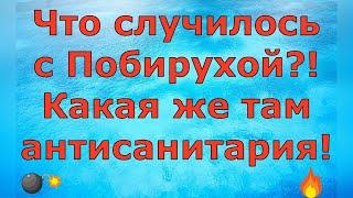 Деревенский дневник очень многодетной мамы \ Что случилось с Побирухой?! \ Обзор влогов