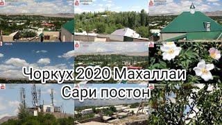 ЧОРКУХ 2020 МАХАЛЛАИ САРИ ПОСТОН БО ХОХИШИ БАЪЗЕ АЗ БАРОДАРОН