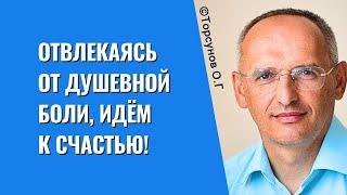 Отвлекаясь от душевной боли, идём к Счастью! Торсунов лекции