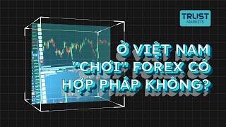 Trust Markets | Ở Việt Nam "chơi" Forex có hợp pháp không?