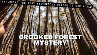 "The Crooked Forest: Poland's Strangest Mystery Explained! #CrookedForest #UnsolvedMysteries