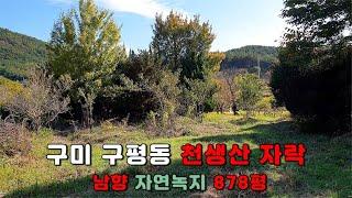 [구미 토지] 천생산 자락의 남향 자연녹지 878평 매매! 정원을 거니는 듯 아름답습니다 ^^