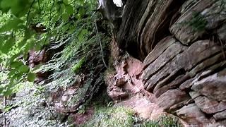 Wallace's Cave, Lugar Gorge, Auchinleck