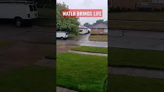 WATER BRINGS LIFE