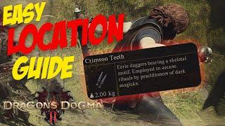 EASY LOCATION GUIDE for the CRIMSON TEETH(Thief Daggers) | Dragon's Dogma 2