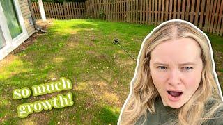 *crazy* grass and garden updates