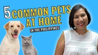 Common Pets at Home in the Philippines