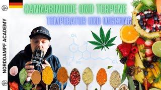 Wie wirkt Cannabis? Terpene und Cannabinoide, welche Temperatur beim Vaporizer?