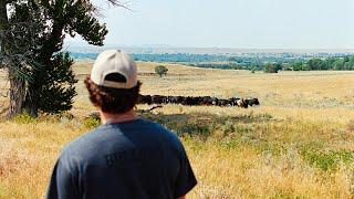 Buffalo, WY | Portra 400