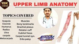 Upper Limb Anatomy l Upper limb bones l Upper limb Muscles l Brachial plexus l Physiovigyan
