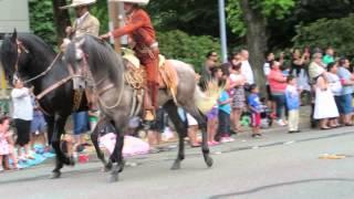 Mexican Dancing Horses