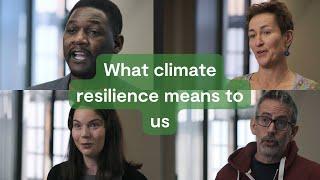 Climate Resilience: a brief introduction