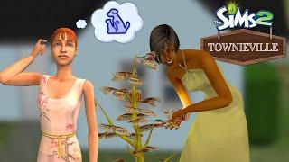 In Need of Simoleons  Townieville #20  Sims 2