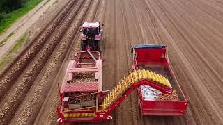 Sawler Gardens Ltd. Harvesting Onions.