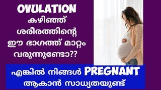 Skin Changes During Early Pregnancy Malayalam