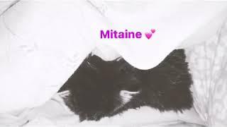 Mes tit amour 
