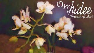 Orchidee- ChristmasDeko (for a teen)