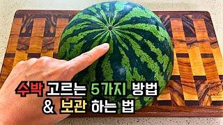  수박 농사 지어 본 엄마가 알려준 수박 고르는 5가지 방법과 초간단 수박 보관법 : WATER MELON