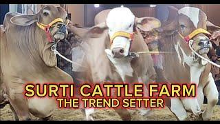 The Grand Opening Ceremony Of Surti Cattle Farm 2023 | One Of The Famous Cattle Name In Pakistan