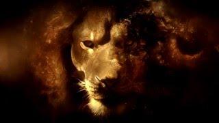 Phil Rey - Lion Heart │Epic Action│