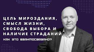  Цель мироздания, смысл жизни, свобода выбора и наличие страданий - какая связь? | Александр Бехер